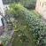 Apartment Anna-Nikola, zasebne nastanitve v mestu Igalo, Črna gora - Basta lijevo